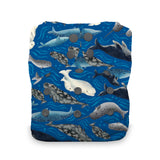 Thirsties Stay Dry Natural All In One Diaper