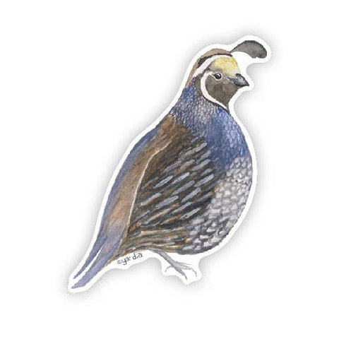 California Quail Bird Vinyl Sticker