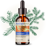 Shatavari 2oz Tincture