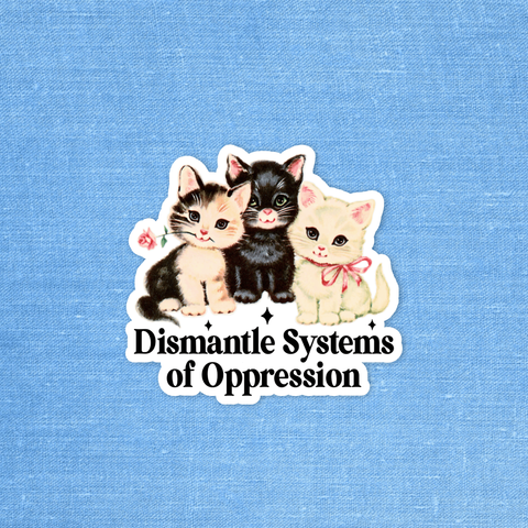 Dismantle systems of oppression, Social justice sticker