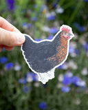 Black Sexlink Chicken Vinyl Sticker