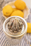 Stainless Steel Juicer - Wide Mouth