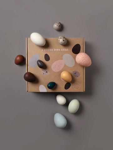 Moon Picnic - A Dozen Bird Eggs in a box