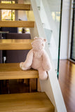 Hank the Hippo Organic Weighted Plush
