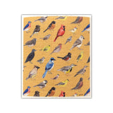 Birds Sponge Cloth - Eco-Friendly Cellulose Dish Cloth