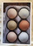 Farmers Market Fresh Photo Cards Collection