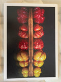 Farmers Market Fresh Photo Cards Collection