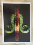 Farmers Market Fresh Photo Cards Collection