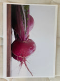Farmers Market Fresh Photo Cards Collection
