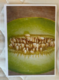 Farmers Market Fresh Photo Cards Collection