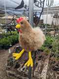 11" Fur Alpaca Chicken