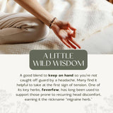 Less Tense | Tension Headache & Migraine Herbal Tincture