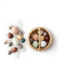 Moon Picnic | A Dozen Bird Eggs in a Basket