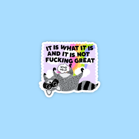 It is what it is Racoon Sticker