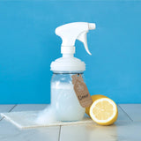 Mason Jar Sprayer Lid, by reCAP®
