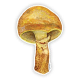 Larch Bolete Mushroom Vinyl Sticker