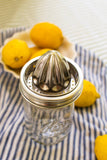 Stainless Steel Juicer - Wide Mouth