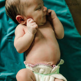 Bamboo Prefold Cloth Diapers (6pk)