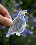 California Quail Bird Vinyl Sticker