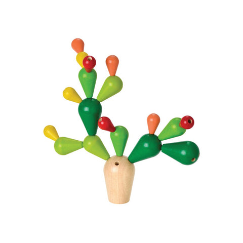 Balancing Cactus
