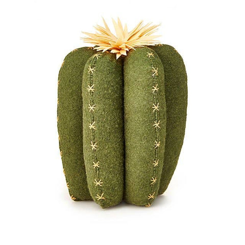 Ridged Cactus Pillow