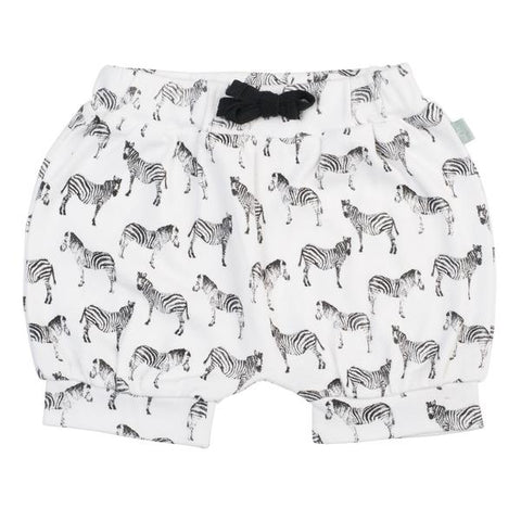 Finn & Emma Zebra Shorts