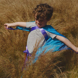 Silk Wings
