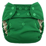 Blueberry Organic One Size Simplex All In One Diaper w/ Stay Dry Soaker