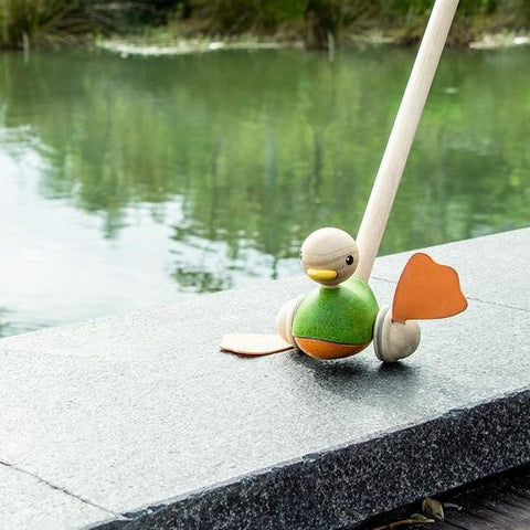 Push Along Duck